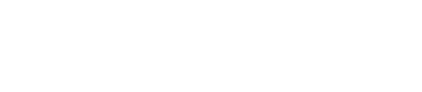 Validus